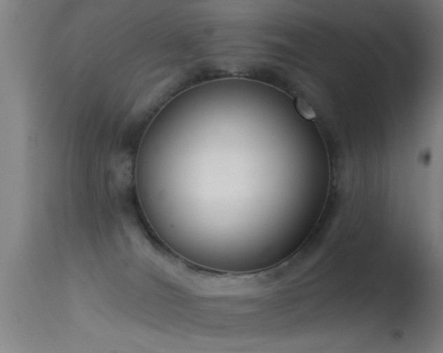 X0000114180036200910151711