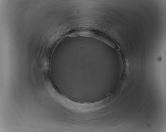 X0000114180039200910151711