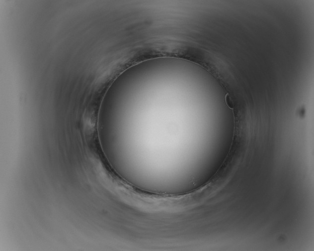 X0000114180040200910151711