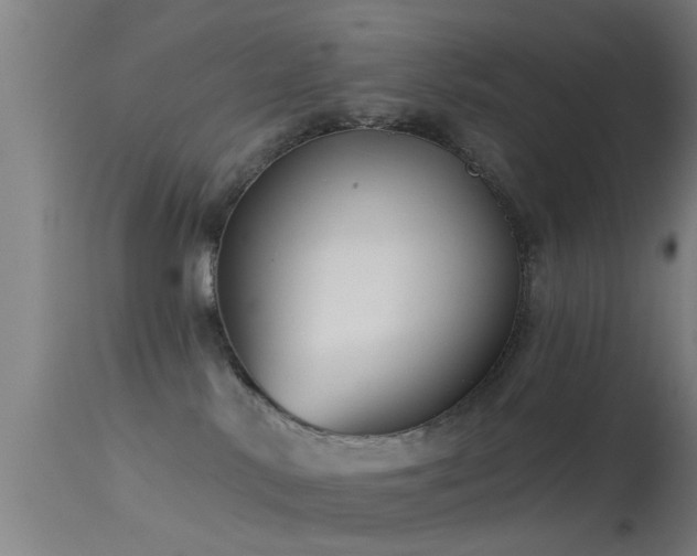 X0000114180042200910151711