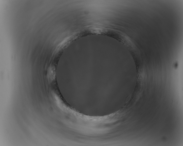 X0000114180043200910151711