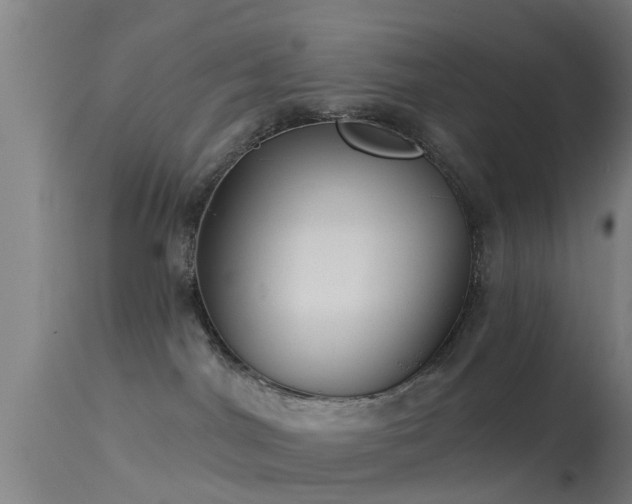 X0000114180044200910151711