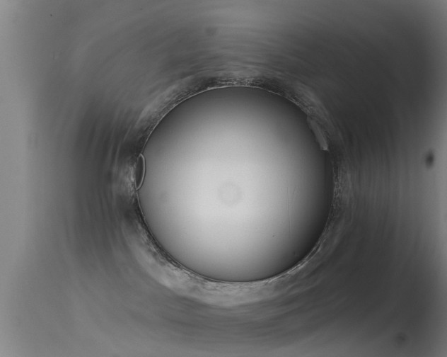 X0000114180045200910151711