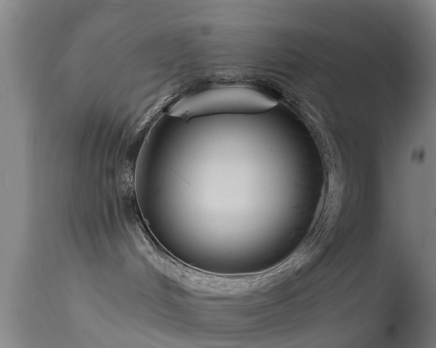 X0000114180048200910151711