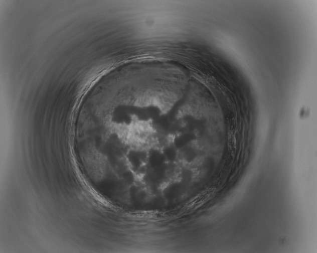 X0000114180049200910151710