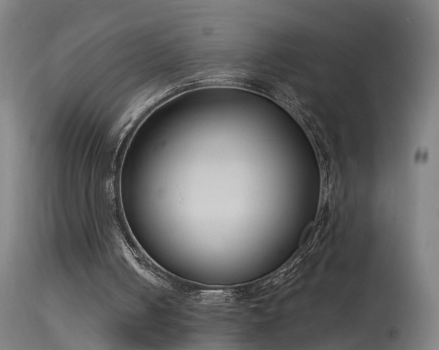 X0000114180050200910151710