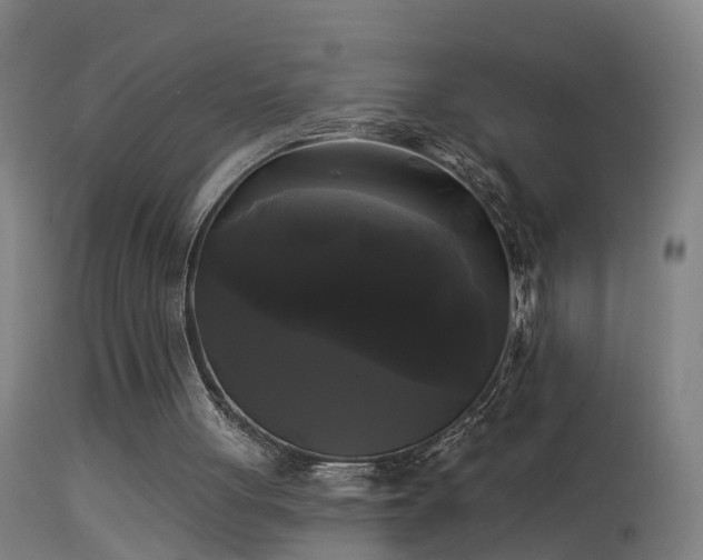 X0000114180051200910151710