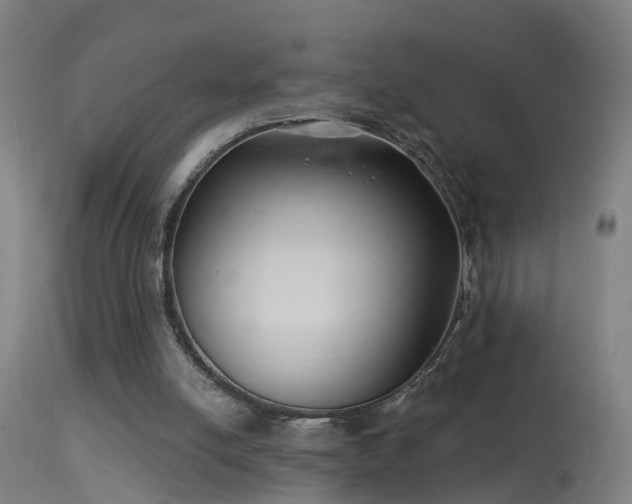 X0000114180054200910151710