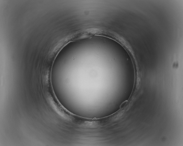 X0000114180057200910151710