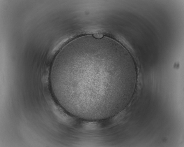 X0000114180058200910151710