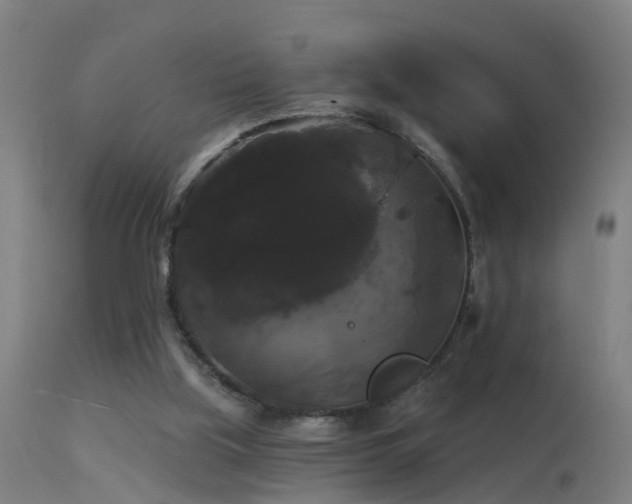 X0000114180059200910151710