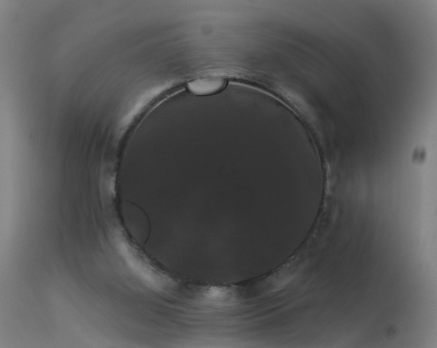 X0000114180060200910151710