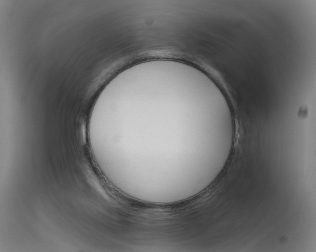 X0000114180061200910151710