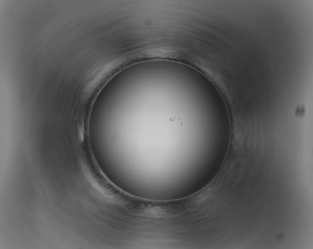 X0000114180062200910151710