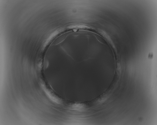 X0000114180063200910151710