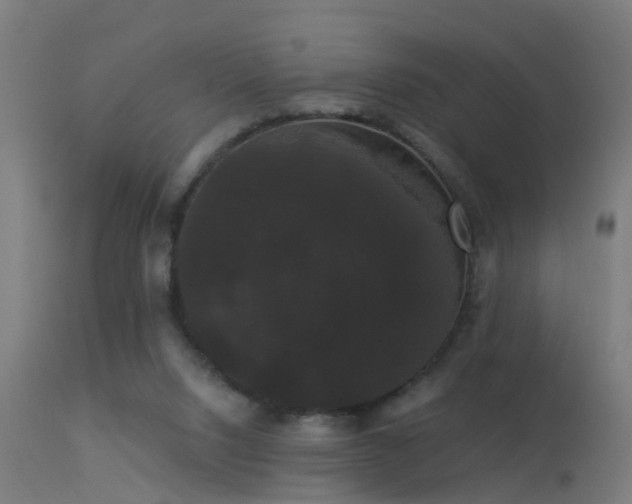 X0000114180064200910151710