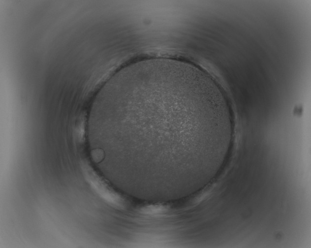 X0000114180065200910151711