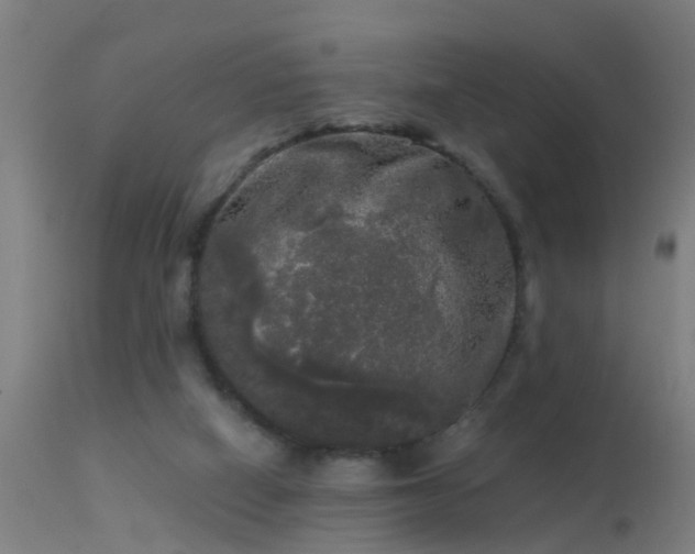 X0000114180066200910151711