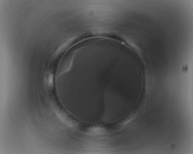 X0000114180067200910151711