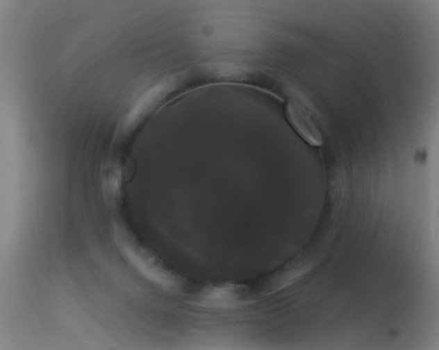 X0000114180072200910151711