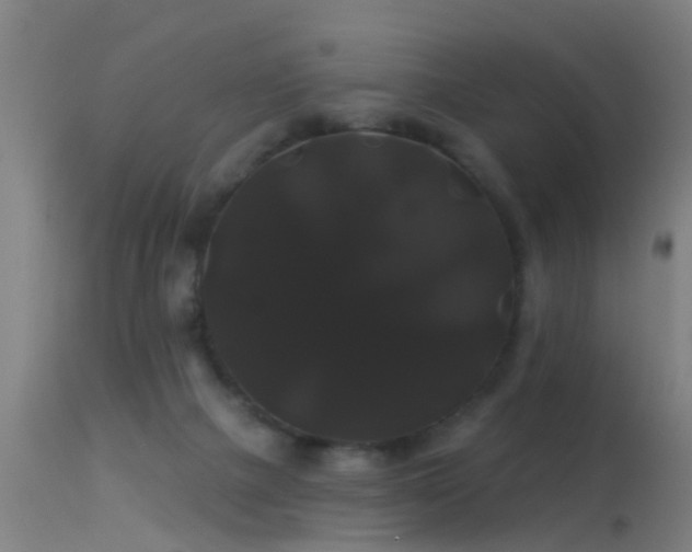 X0000114180073200910151711