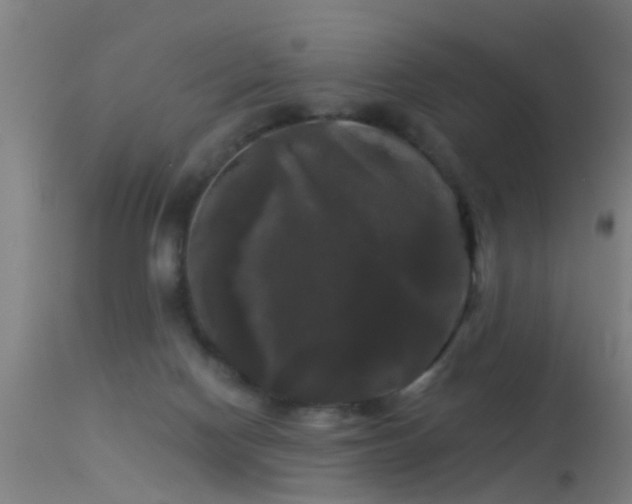 X0000114180074200910151711