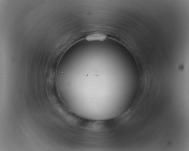 X0000114180078200910151711