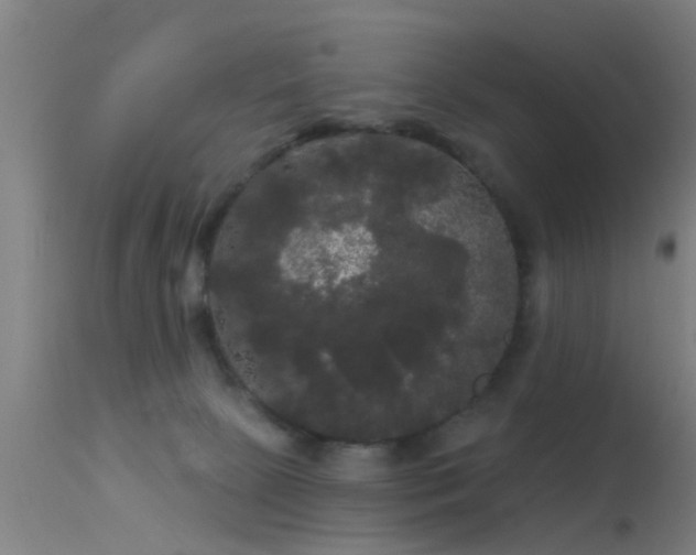 X0000114180081200910151711