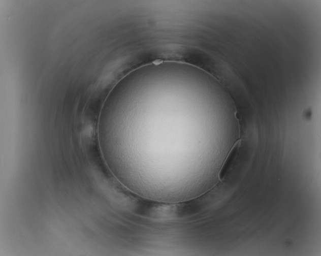 X0000114180084200910151711