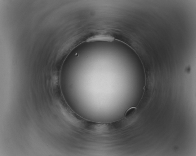 X0000114180085200910151711