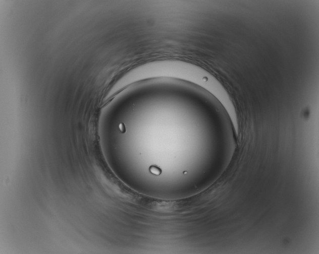 X0000114180088200910151711