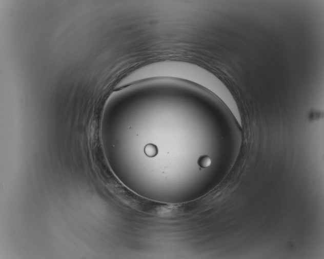 X0000114180092200910151711