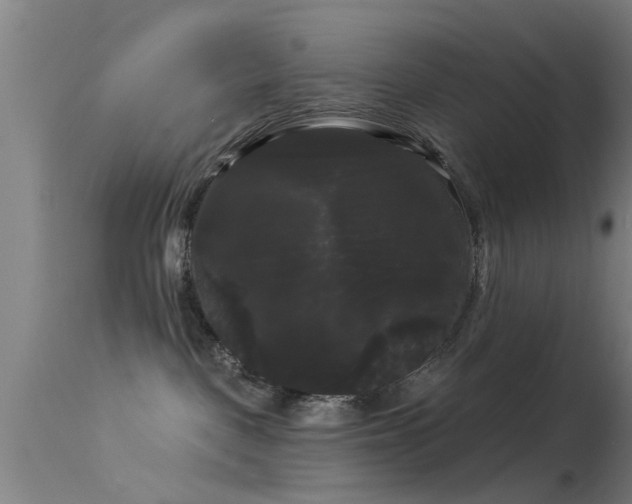 X0000114180093200910151711