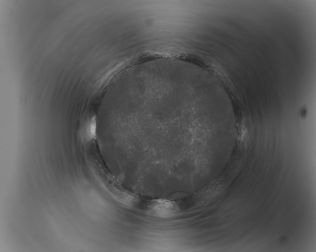 X0000114180095200910151711