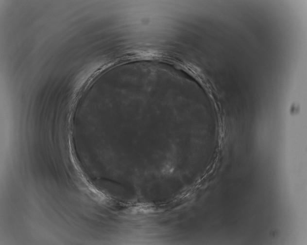 X0000114180097200910151710