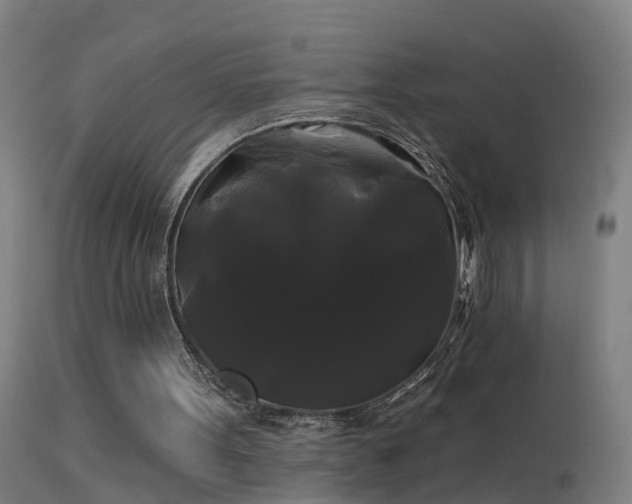 X0000114180099200910151710