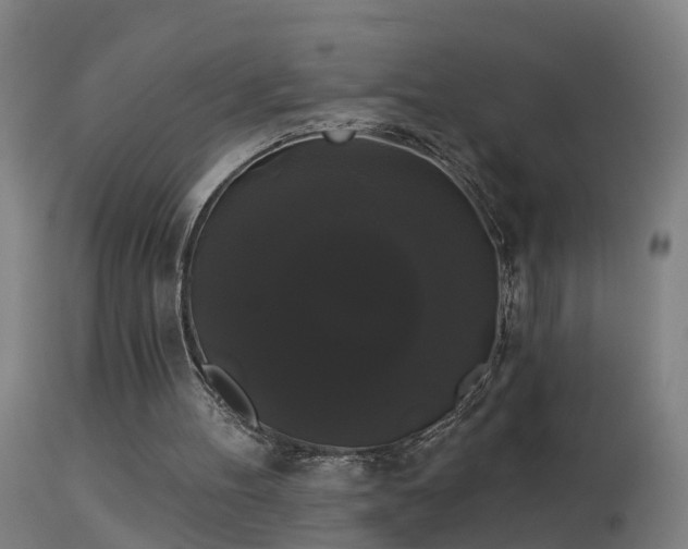 X0000114180100200910151710