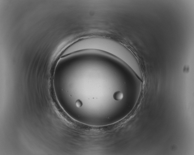 X0000114180101200910151710