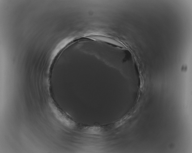 X0000114180104200910151710