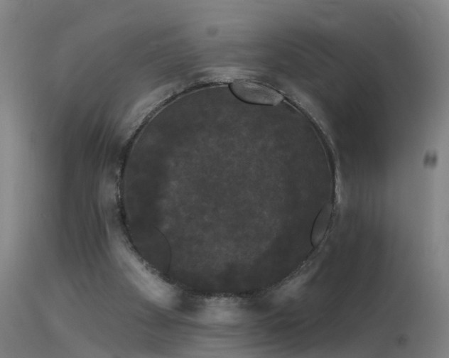 X0000114180105200910151710