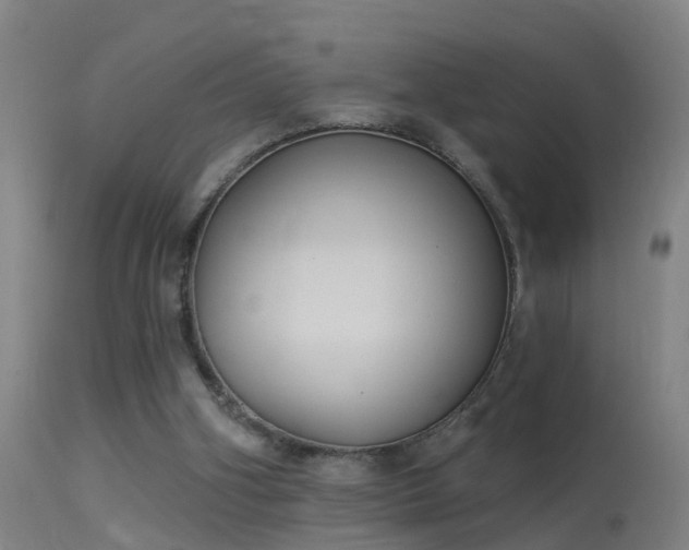 X0000114180106200910151710