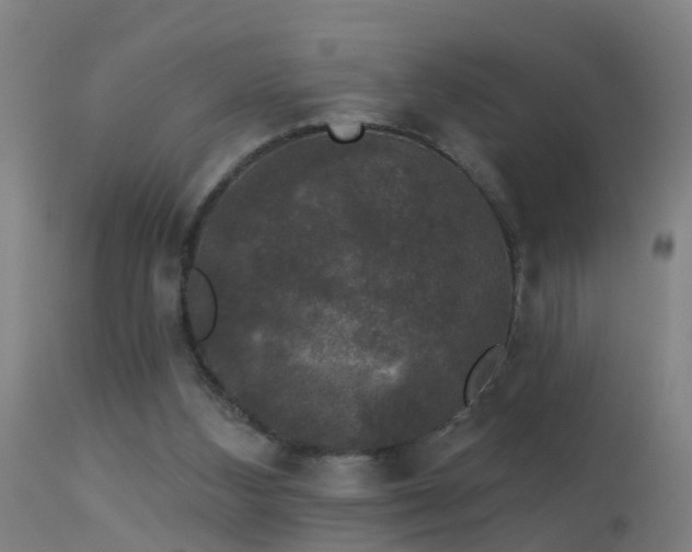 X0000114180108200910151710