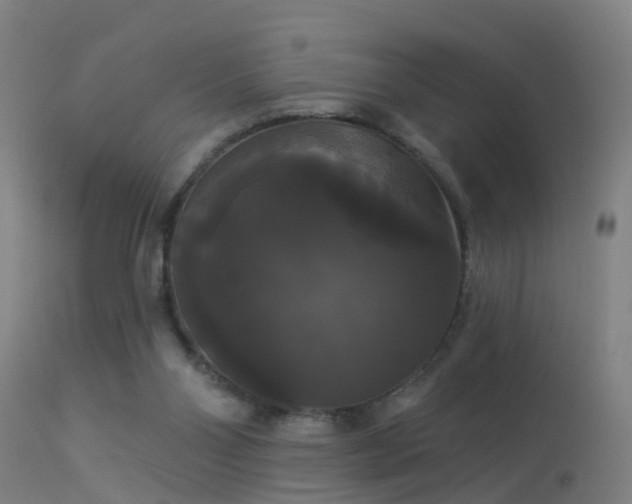 X0000114180110200910151710