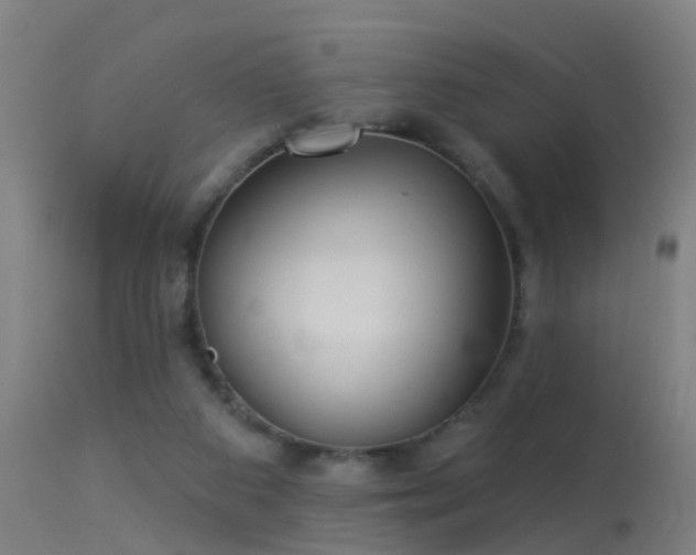 X0000114180113200910151710