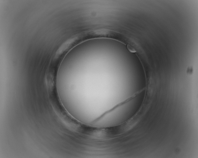 X0000114180116200910151710