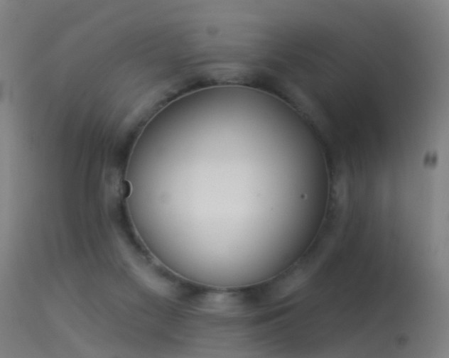 X0000114180117200910151710