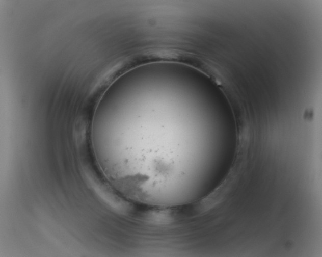 X0000114180120200910151710