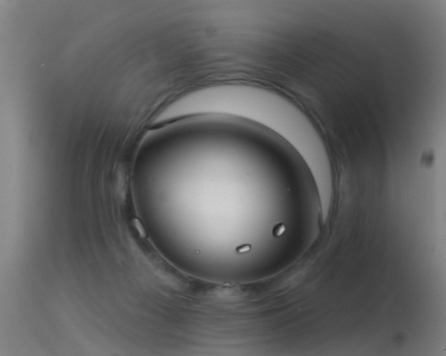 X0000114180121200910151710