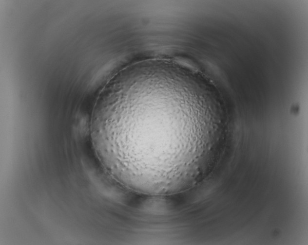 X0000114180123200910151710