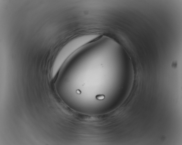 X0000114180125200910151710